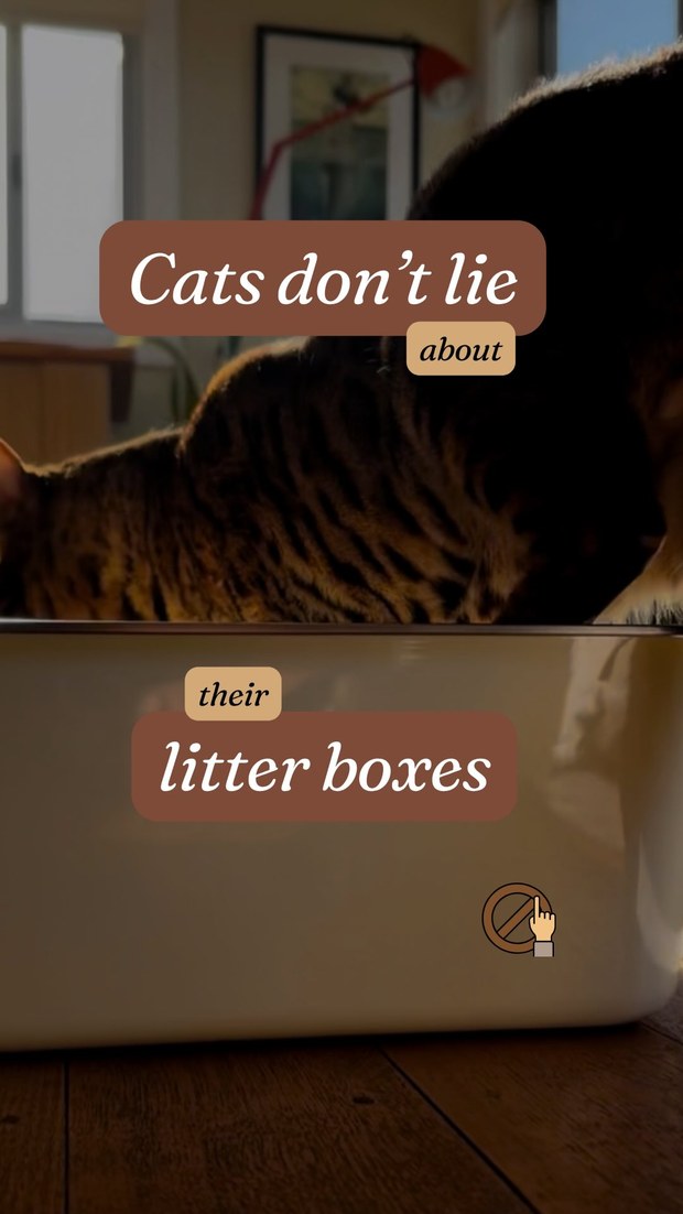 Litter tray Reel