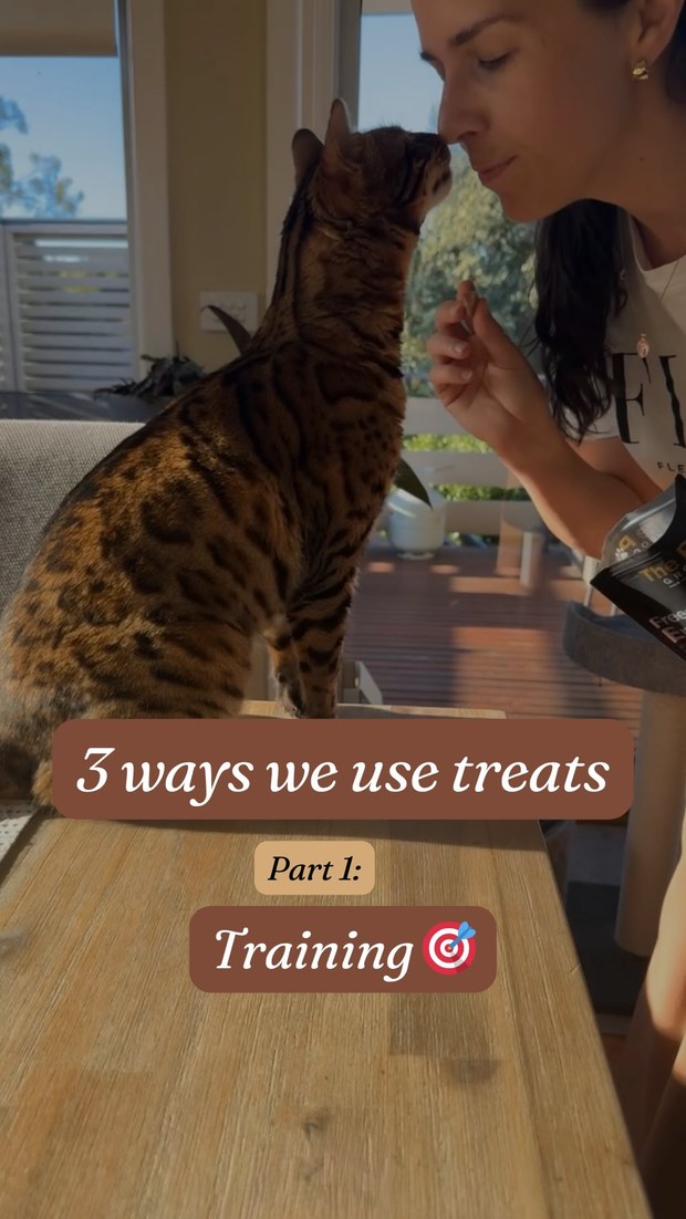 Treats training Reel