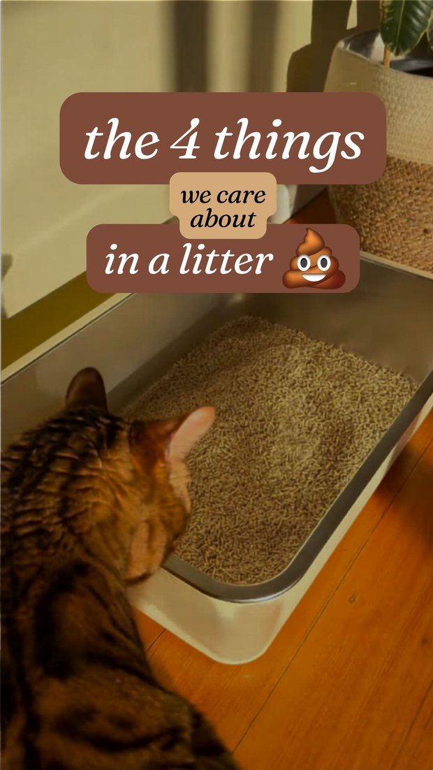 Oat litter review Reel